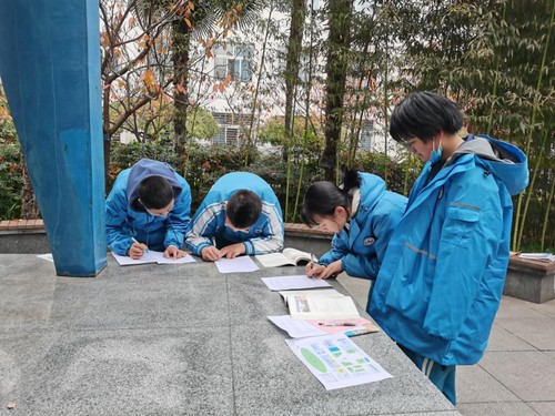 小组合作根据老师提供的任务卡，认真观察并记录